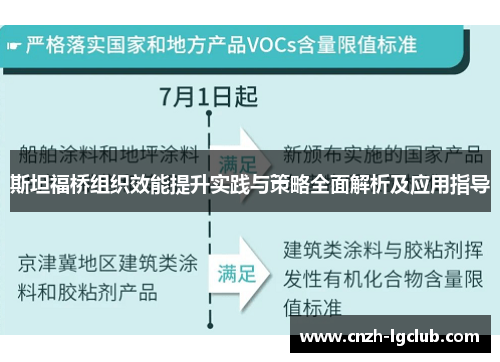 斯坦福桥组织效能提升实践与策略全面解析及应用指导