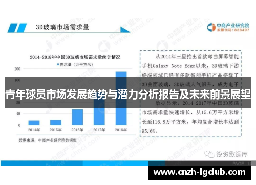 青年球员市场发展趋势与潜力分析报告及未来前景展望
