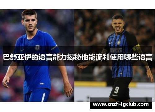巴舒亚伊的语言能力揭秘他能流利使用哪些语言