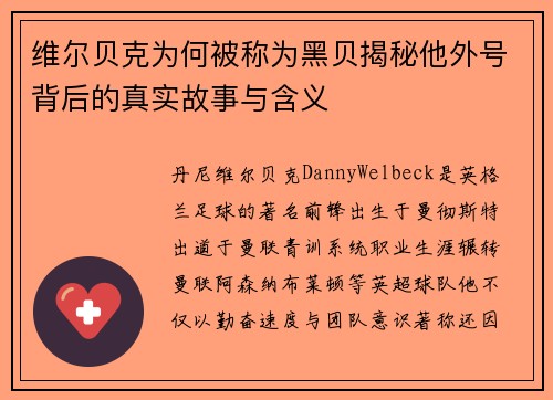 维尔贝克为何被称为黑贝揭秘他外号背后的真实故事与含义