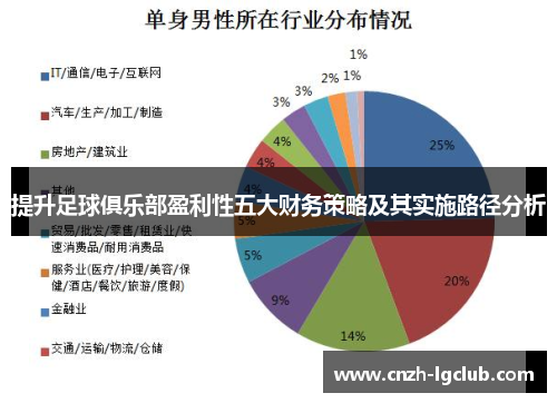 提升足球俱乐部盈利性五大财务策略及其实施路径分析