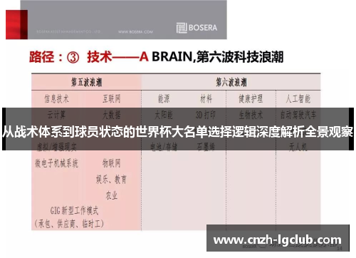 从战术体系到球员状态的世界杯大名单选择逻辑深度解析全景观察